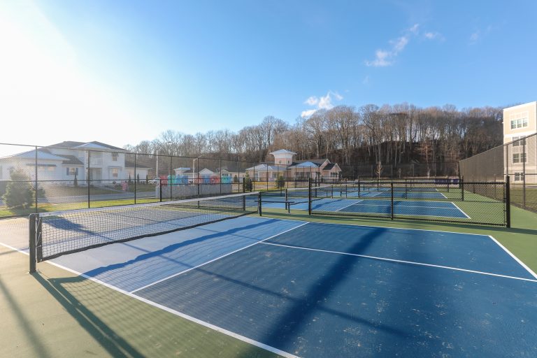 Blue pickleball courts and nets on a green background.