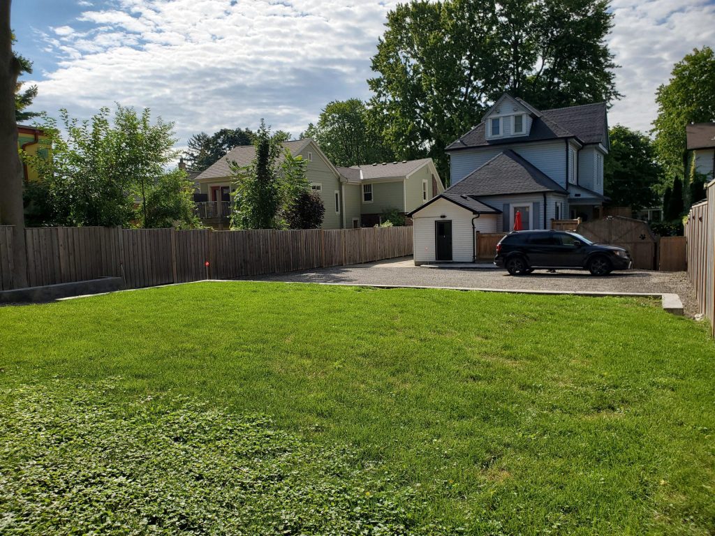 Lush green backyard fenced in.