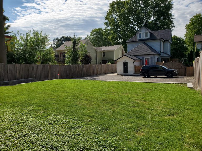 Lush green backyard fenced in.